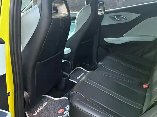 BYD Seagull 2024