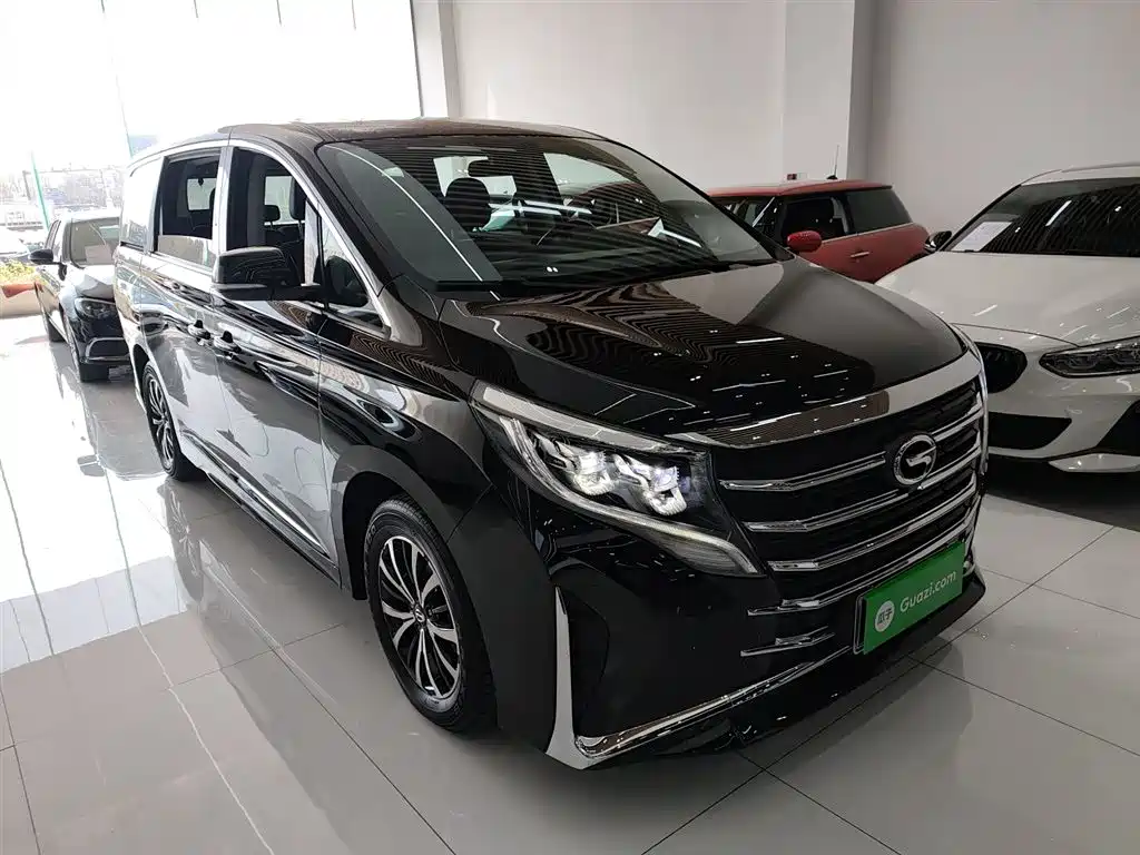 GAC Motor Trumpchi M8 2024 — фото 22