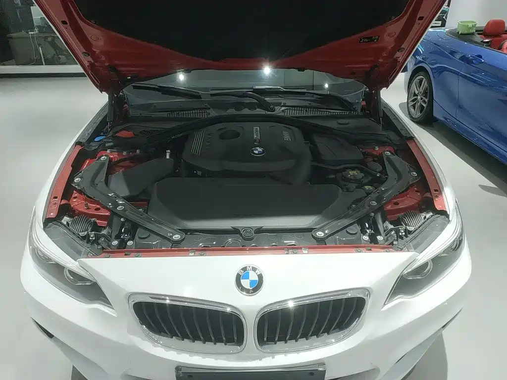 BMW 2 Series 2018 — фото 16