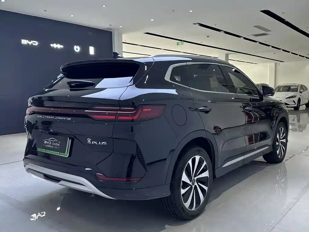 BYD Song PLUS New Energy 2024 — фото 12