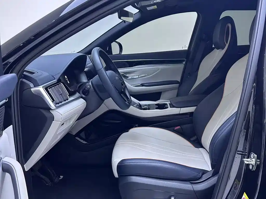 BYD Song PLUS New Energy 2024 — фото 4