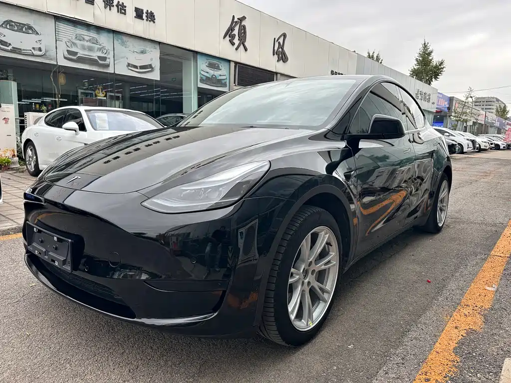 Tesla Model Y 2023 — фото 1