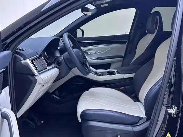 BYD Song PLUS New Energy 2024