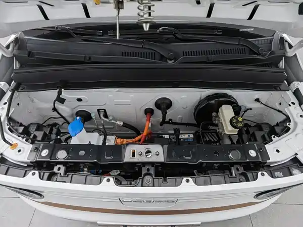 Geely Galaxy Panda 2024
