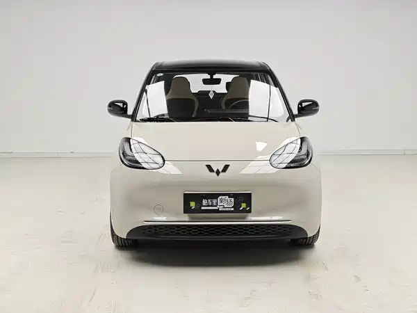 Wuling Bingo 2024