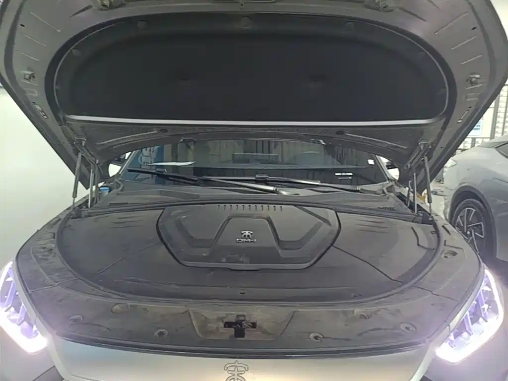 BYD PLUS New Energy 2022 — фото 20