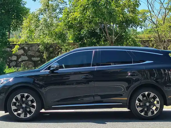 BYD Tang New Energy 2024