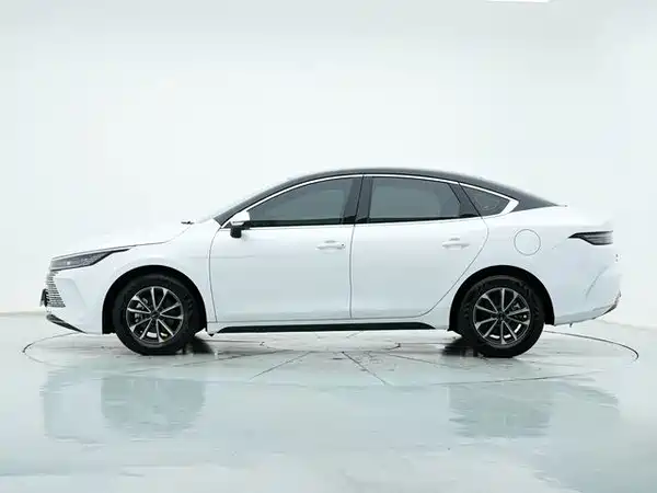 BYD Destroyer 05 2024