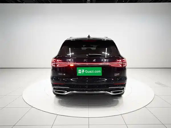 Hongqi HS5 2023