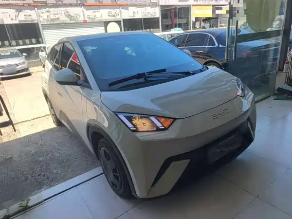 BYD Seagull 2024