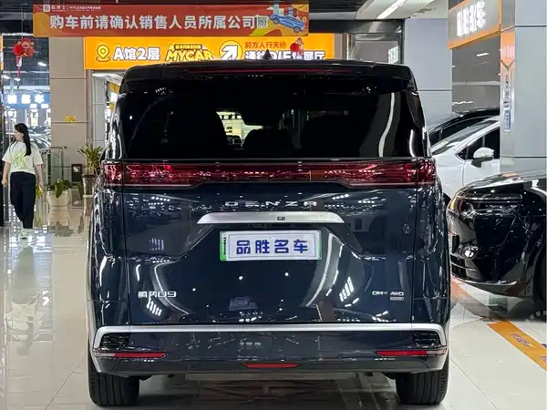 Denza D9 2025