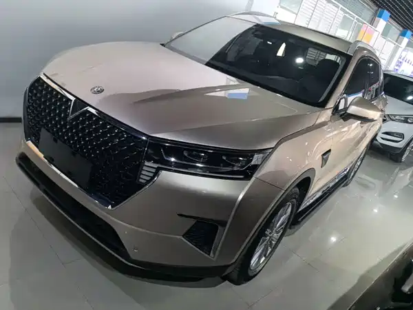 Venucia Star 2020