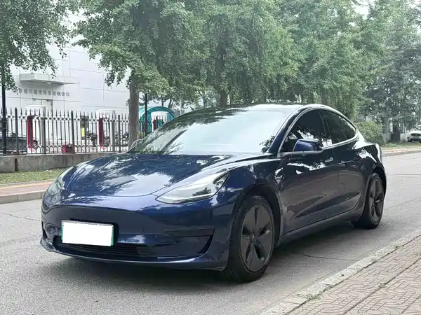 Tesla Model 3 2020