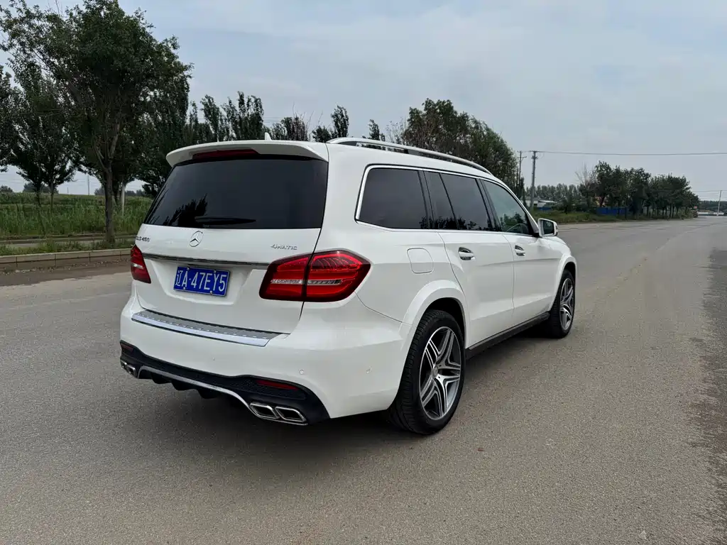 Mercedes-Benz GLS 2017 — фото 9