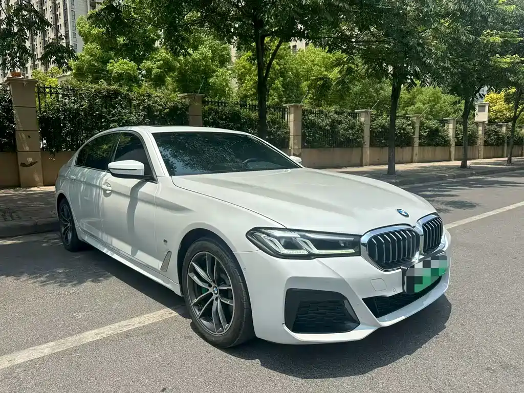 BMW 5 Series New Energy 2020