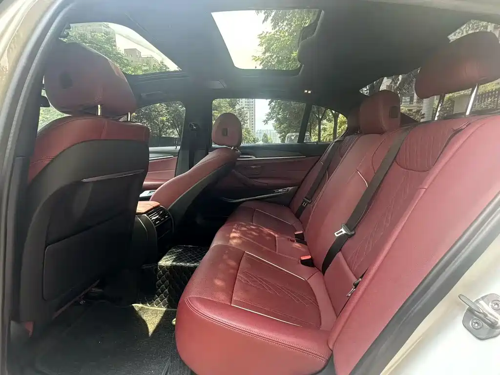 BMW 5 Series New Energy 2020
