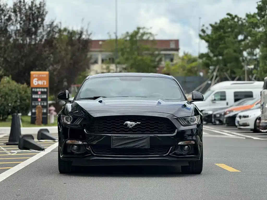 Ford Mustang 2015 — фото 3