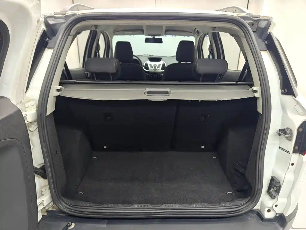 Ford EcoSport 2014 — фото 9