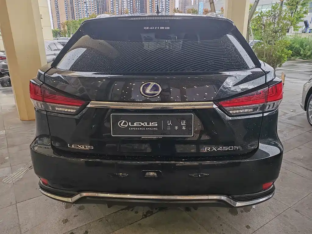 Lexus RX 2022 — фото 19