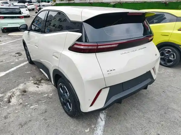 BYD Seagull 2024