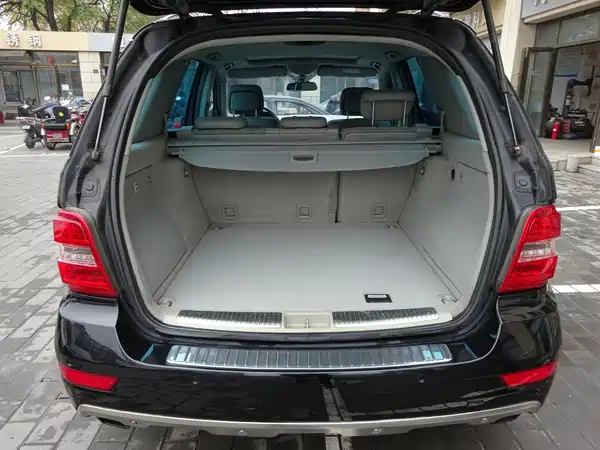 Mercedes-Benz M-Class 2010
