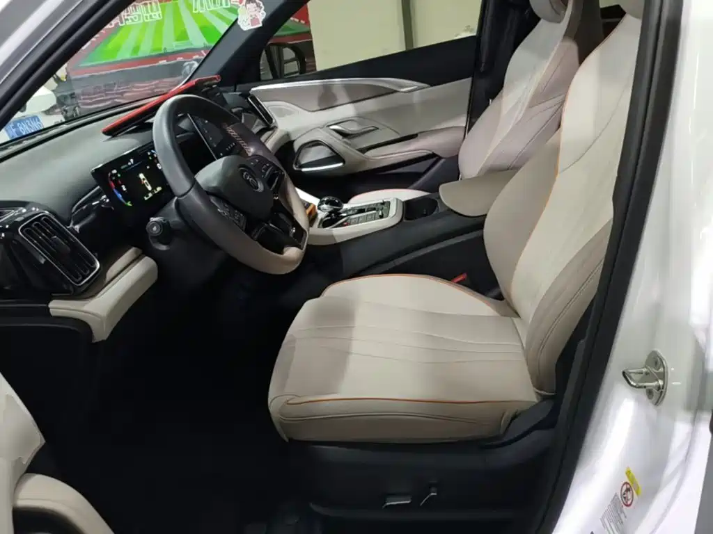 BYD Song Pro New Energy 2024 — фото 15