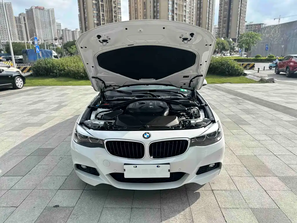 BMW 3 Series GT 2019 — фото 30