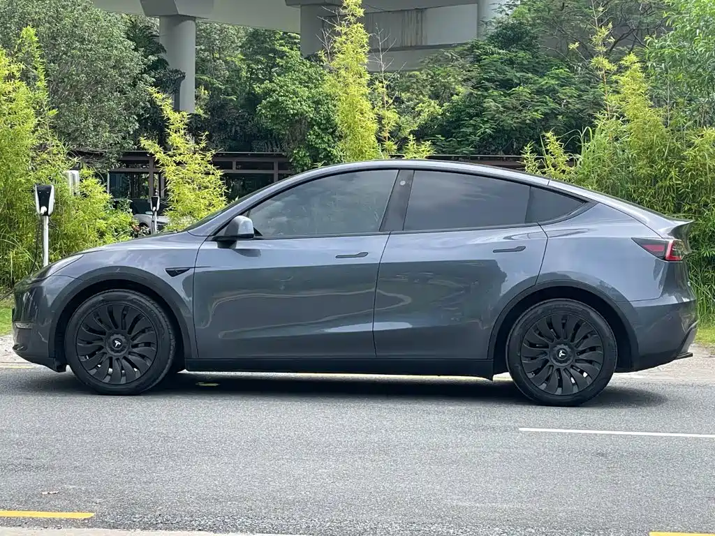 Tesla Model Y 2021 — фото 6