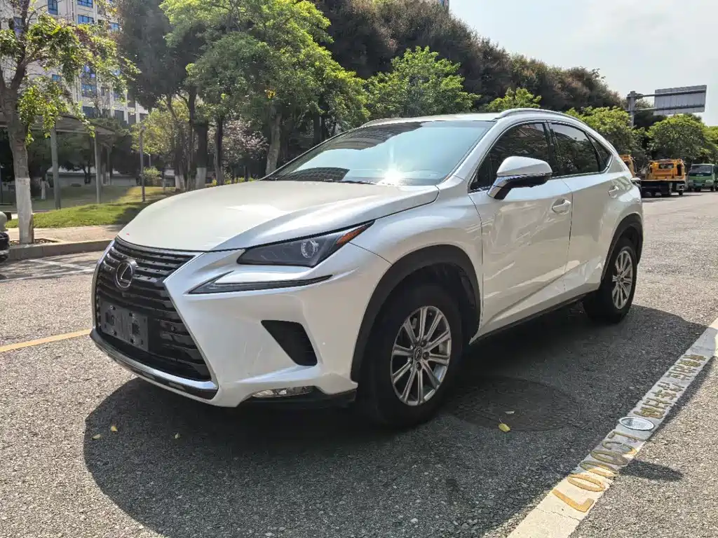 Lexus NX 2019 — фото 1