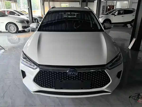 BYD e2 2021