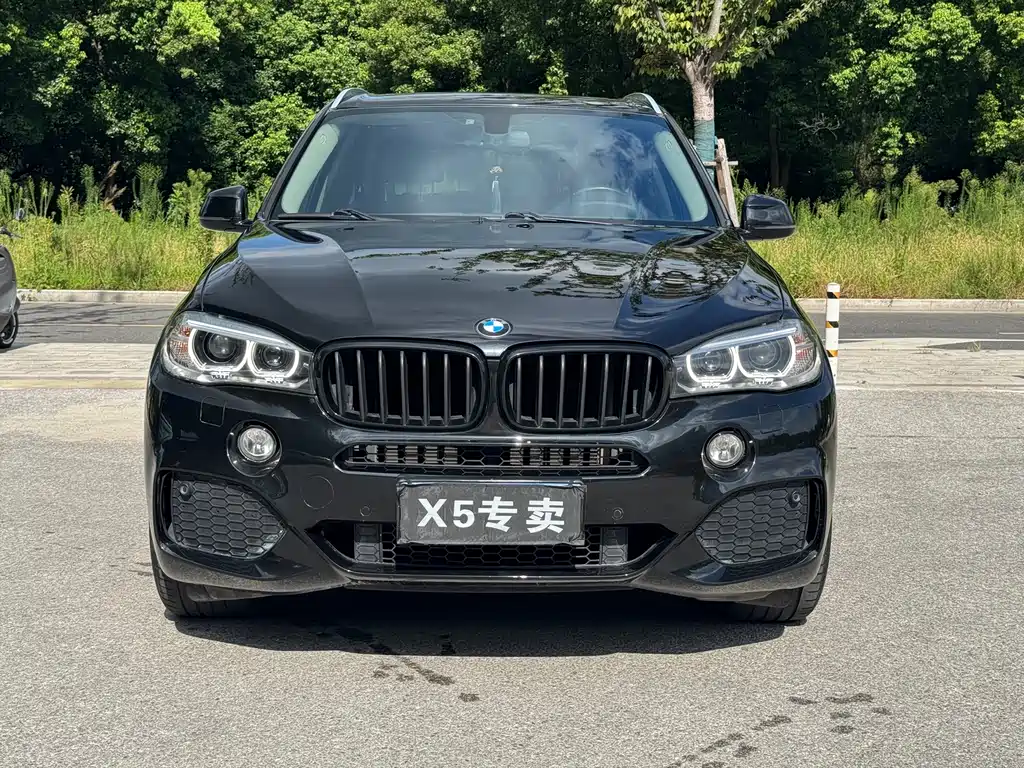 BMW X5 2017 — фото 2