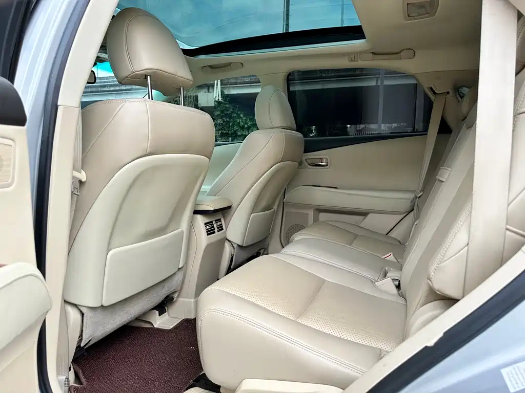 Lexus RX Classic 2009 — фото 15