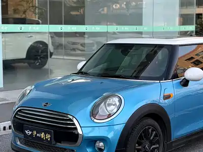 MINI MINI 2014
