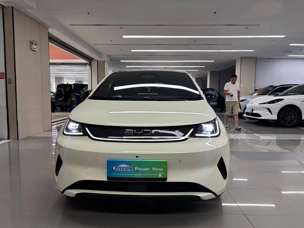 BYD Dolphin 2025