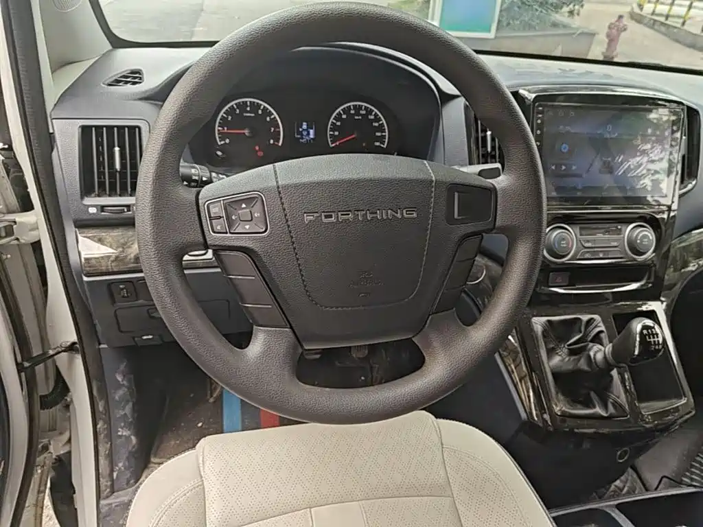 Fengxing Lingzhi PLUS 2024