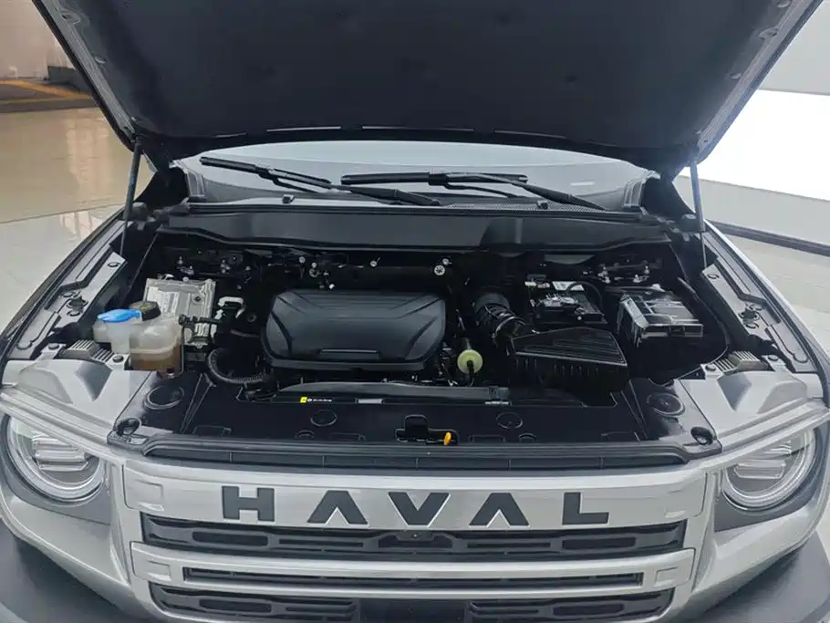 Haval Big Dog 2024 — фото 10