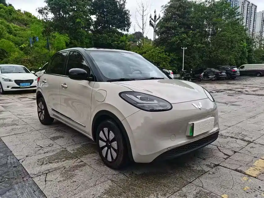 Wuling Bingo 2024