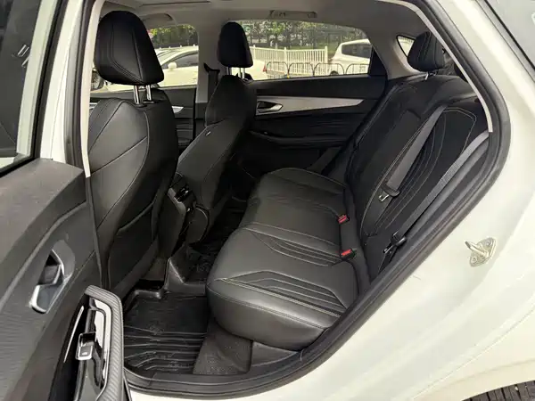 Geely Binrui 2024