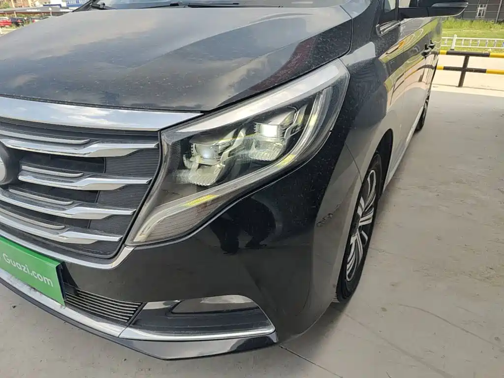 GAC Trumpchi M8 2019 — фото 24