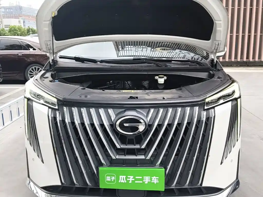 GAC Trumpchi M8 2023 — фото 20