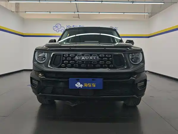 Haval Dog PLUS 2024