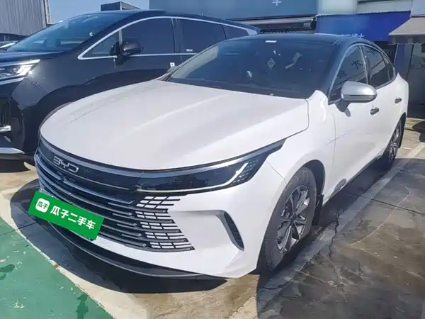 BYD Destroyer 05 2024