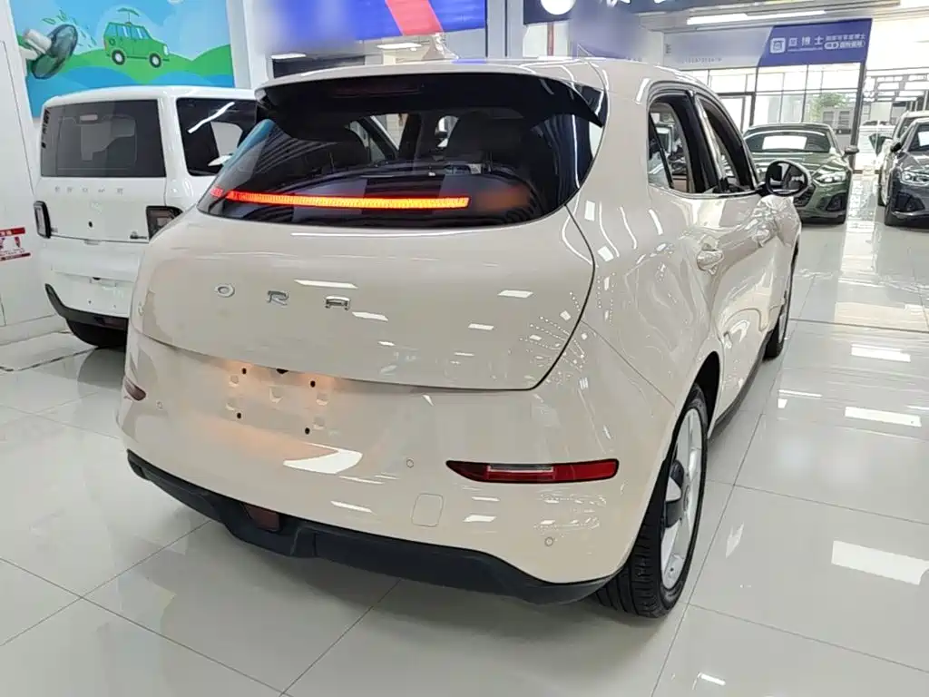 Ora Good Cat 2024