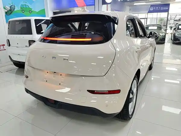 Ora Good Cat 2024