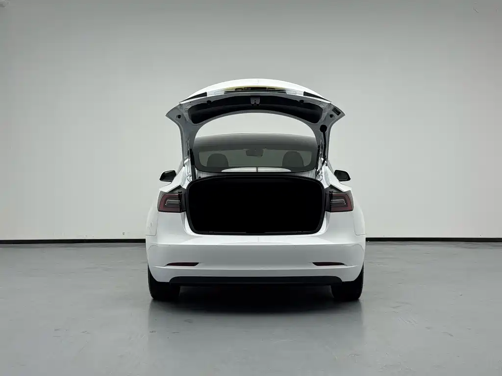 Tesla Model 3 2023 — фото 15