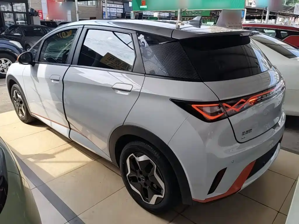 BYD Dolphin 2021