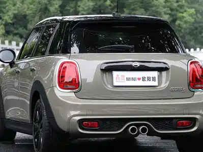 MINI MINI 2021