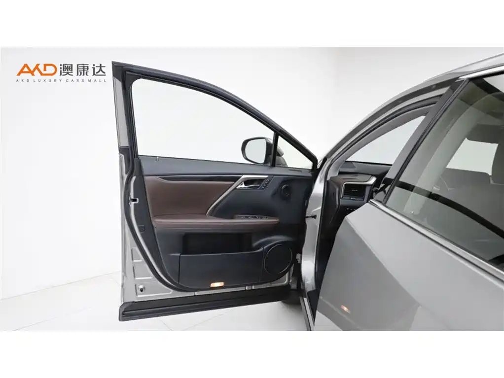 Lexus RX 2021 — фото 10