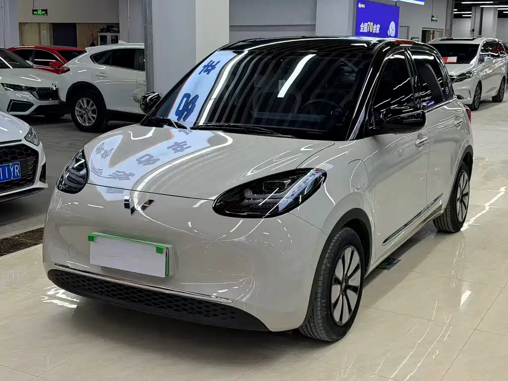 Wuling Bingo 2024