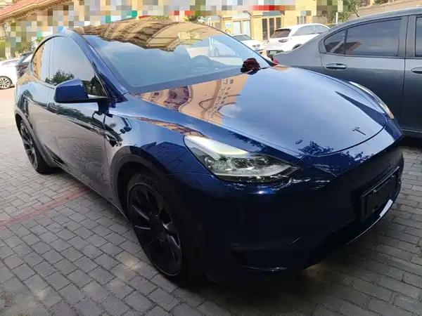 Tesla Model Y 2021